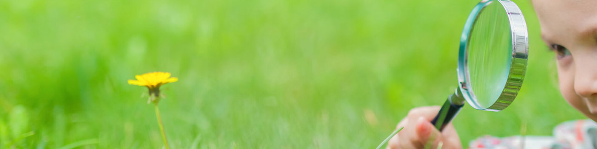 headerimage-hsk-3